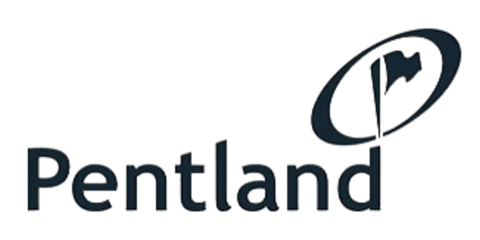 logo 02